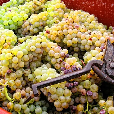 Agriturismo Marilena La Casella Agroturismo